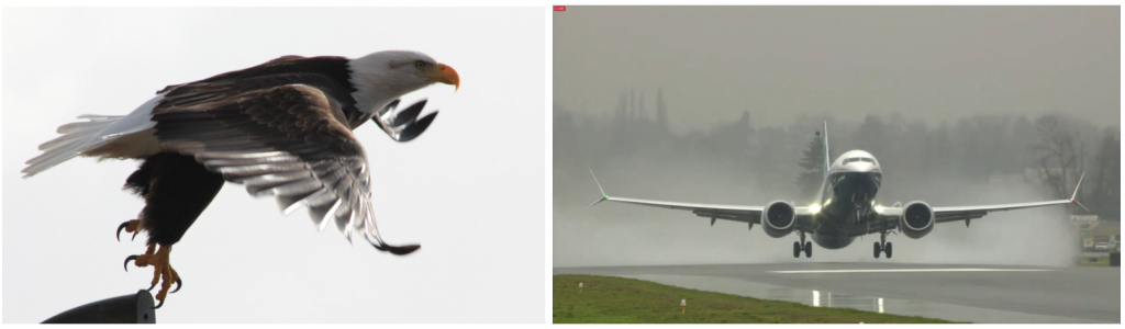 Take off