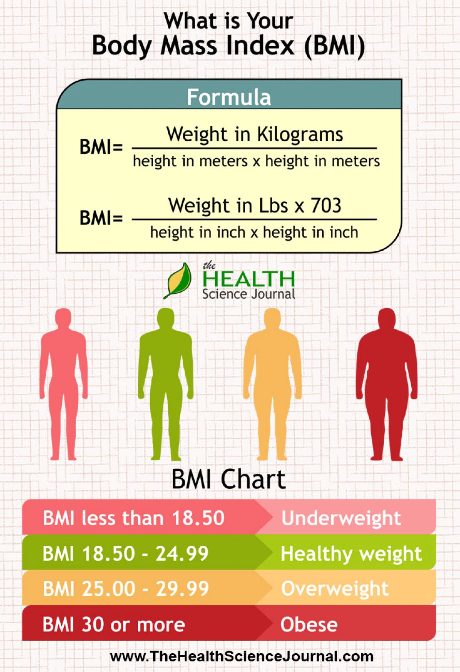 Body Mass Index Bmi56db2c5e772faw1500 Saintif 8438