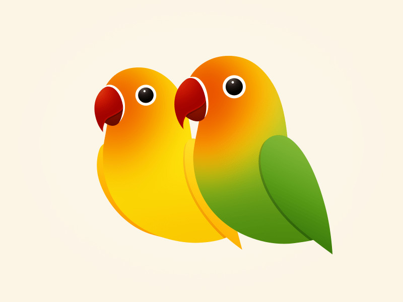 jenis burung lovebird