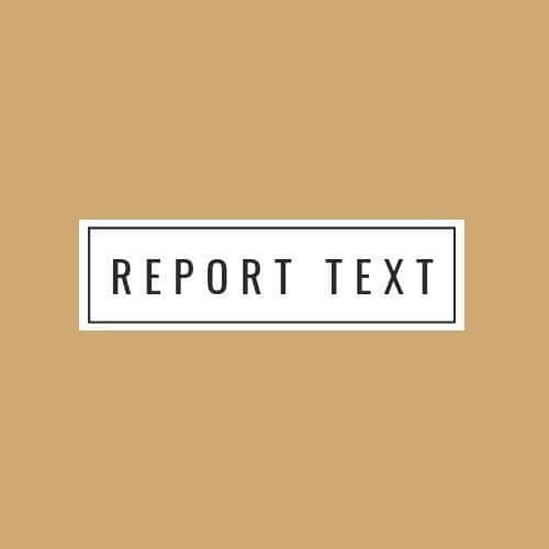 report text