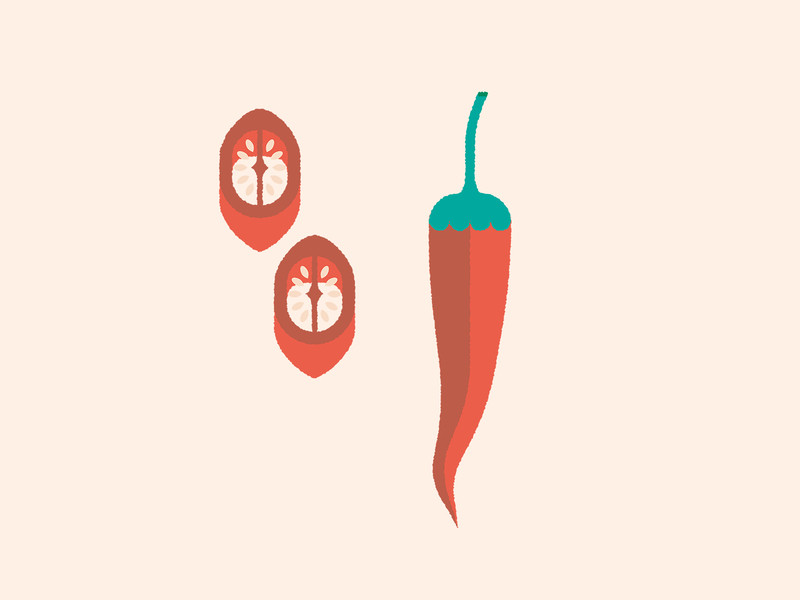 cara menanam cabe