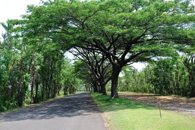 lingkungan
