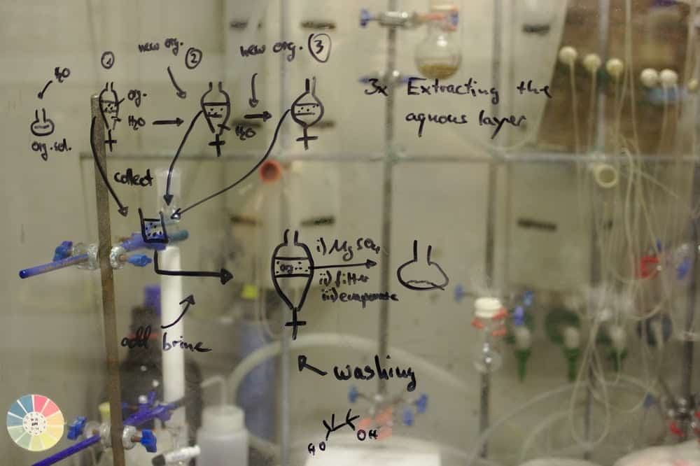 fungsi protein kimia
