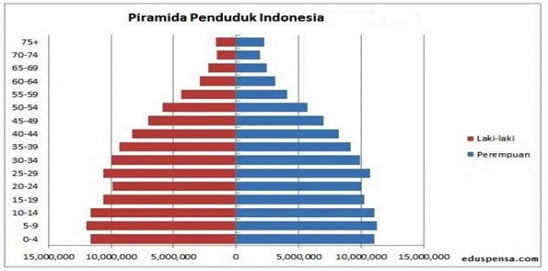 piramida penduduk adalah