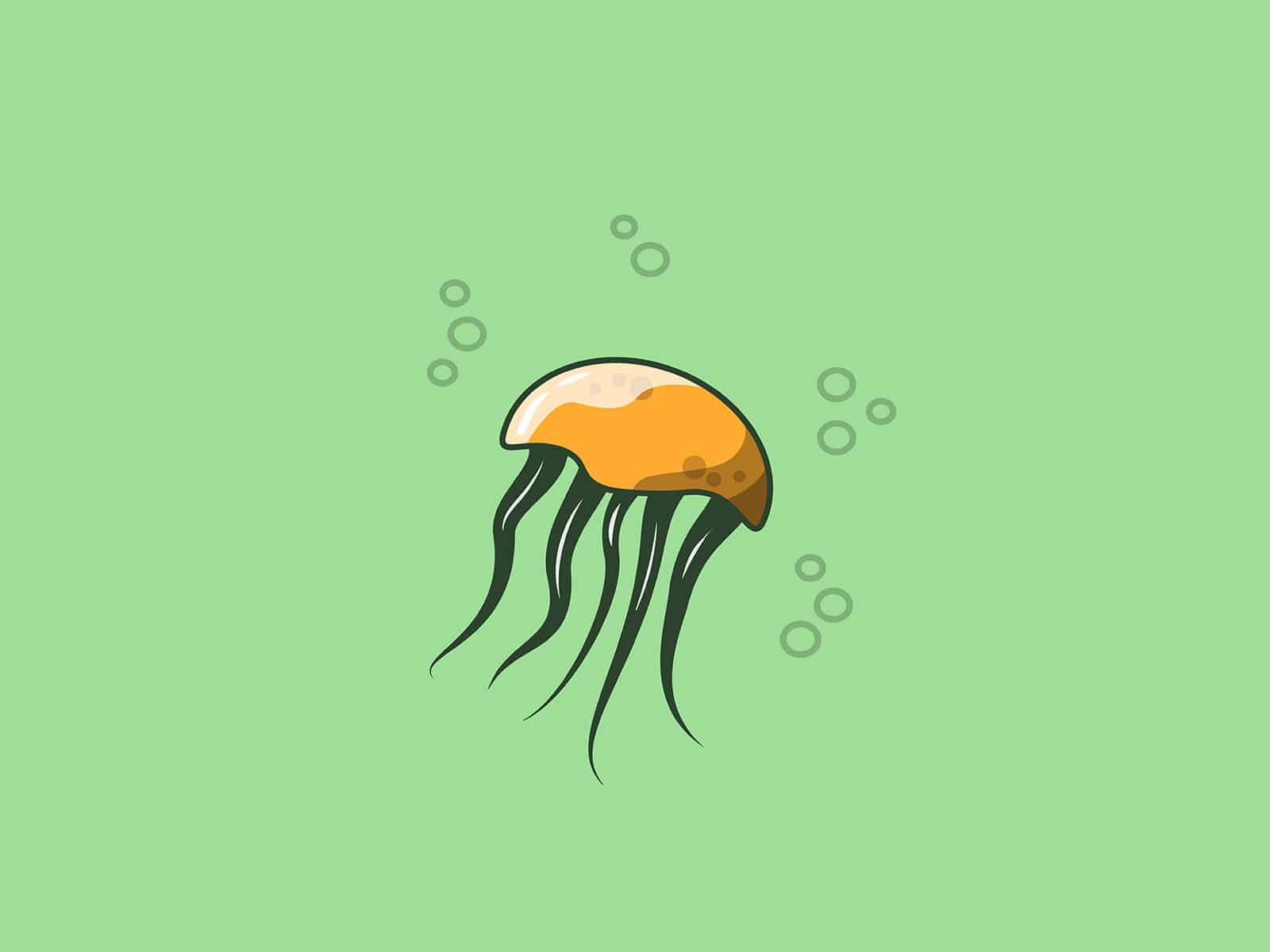coelenterata