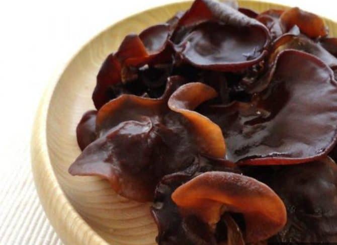 jamur yang bisa dimakan