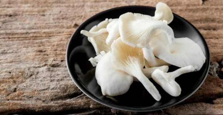 jamur yang bisa dimakan