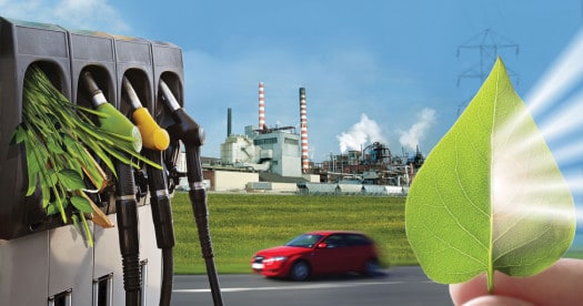 bioenergi