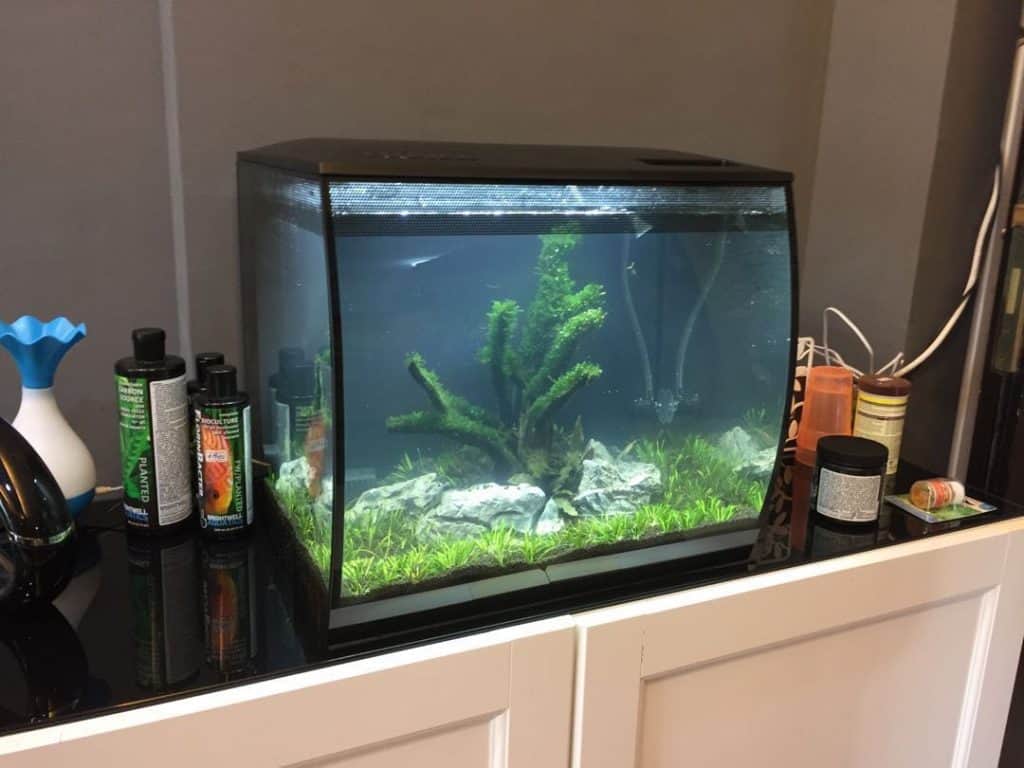 harga aquarium
