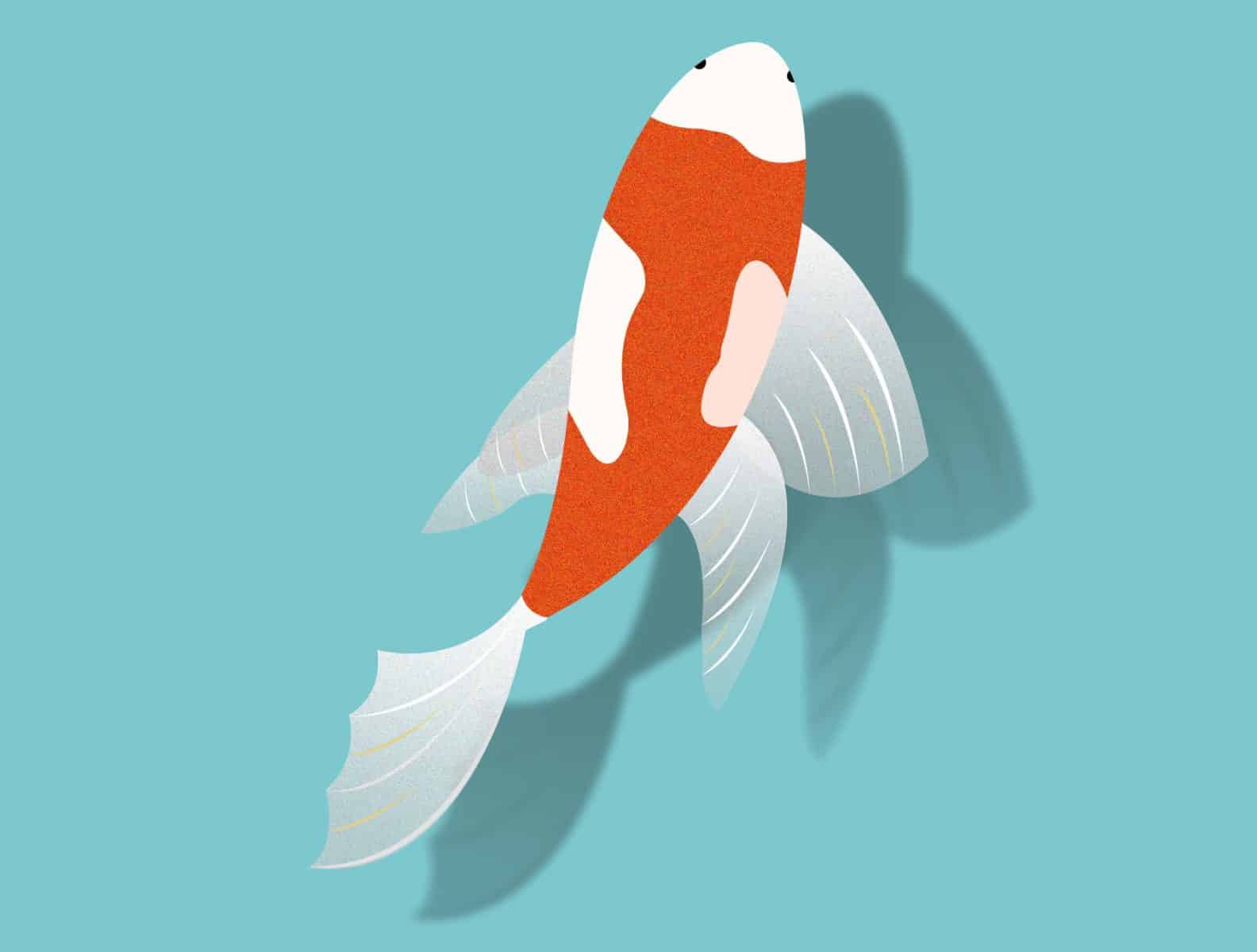 umpan ikan mas